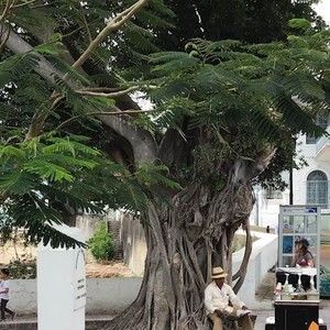 Meet your Posher, Leroy